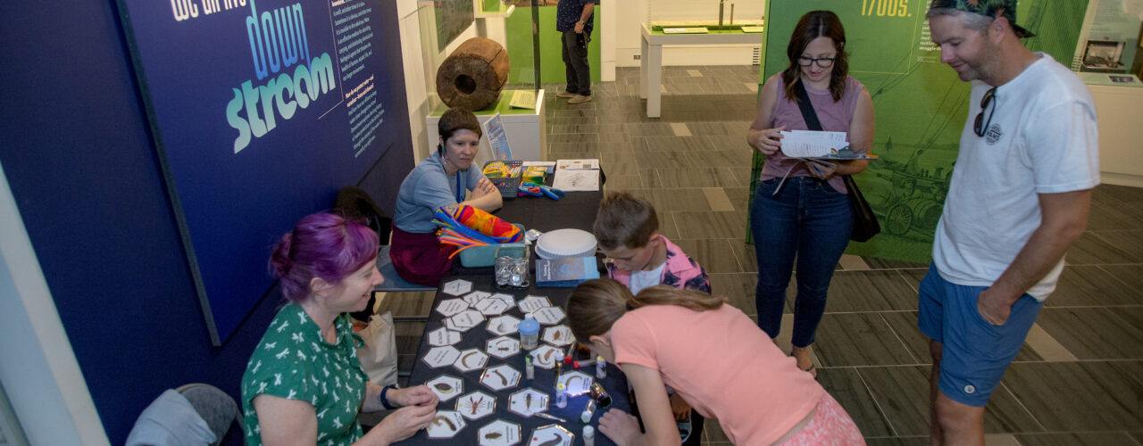 museum visitors