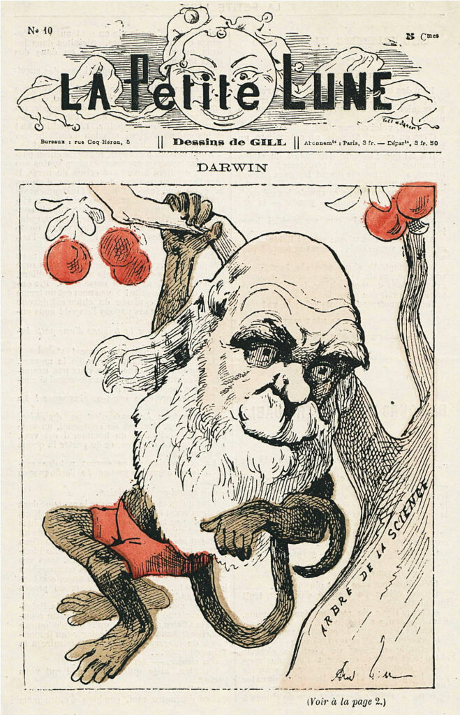 Newspaper cover shows Darwin as ape swinging in a tree