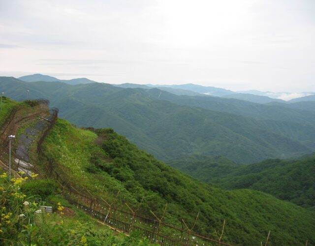 An image of Korea's DMZ, both the natural landscape and the fence surrounding it