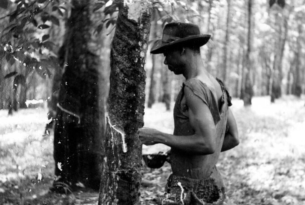 B/W photo of a man wearing a worn fedora concentrating on a tree truck