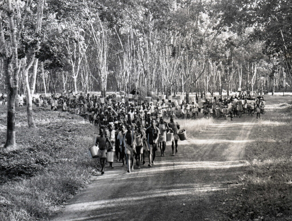 A large group of men walking down a dirt road through groves of trees