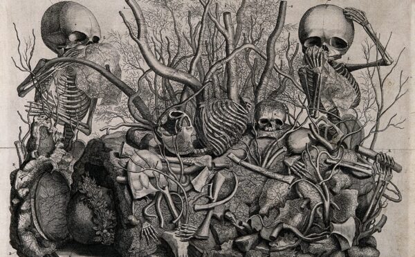 Illustration of a tableau of injected vessels and infant skeletons by Frederick Ruysch.