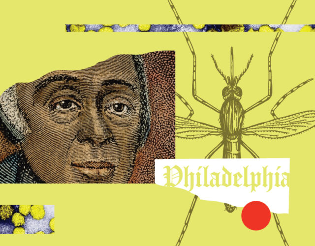 Collage illustration showing portrait of Richard Allen, a mosquito, and image of yellow fever virus