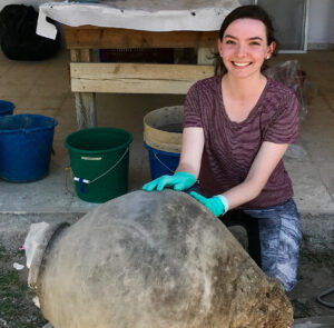 Julia kneeling and holding a large vase steady with blue latex gloved hands