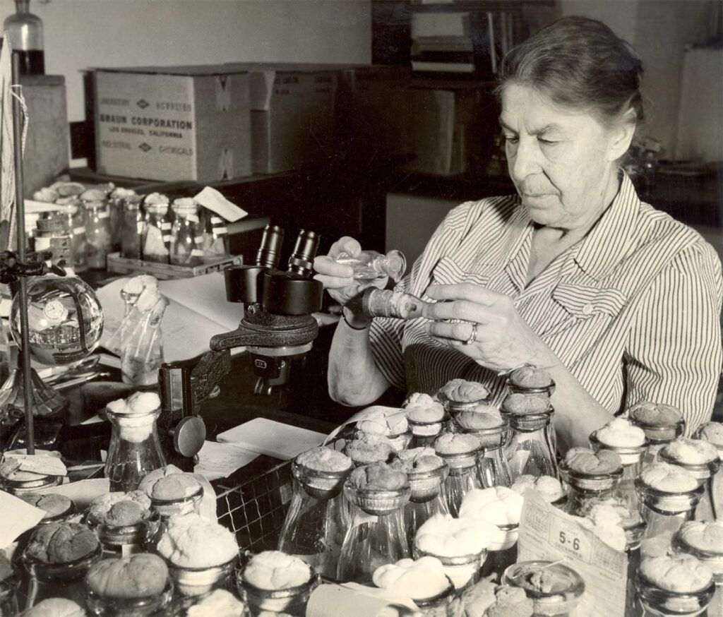 Black and white photo of woman at lab bench