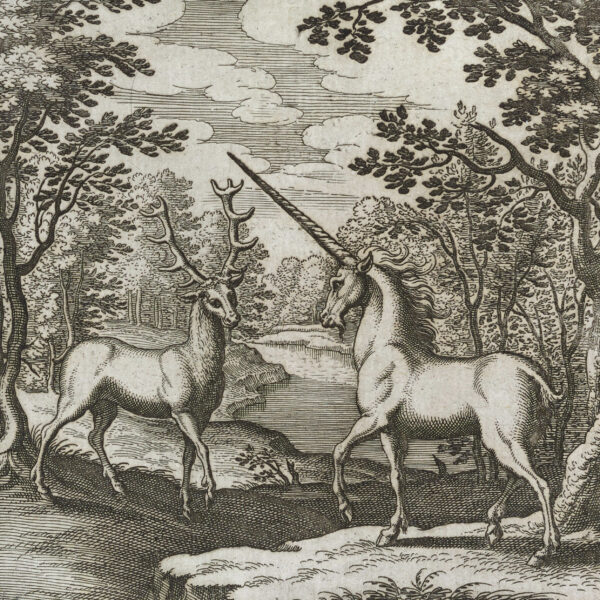 engraved illustration of a deer and unicorn in a forest