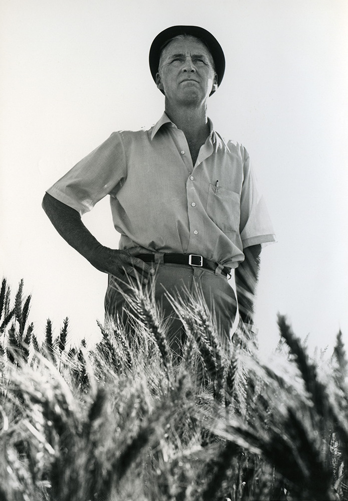 B/W photo of man standing in wheat field