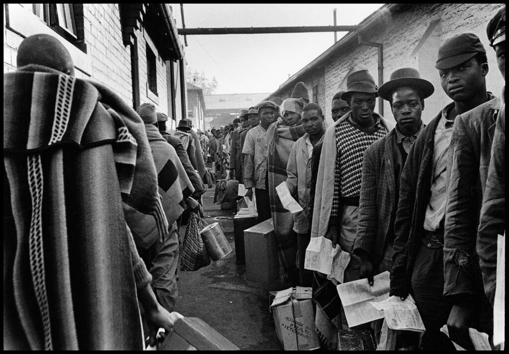 Black and white photo of large group of men in line