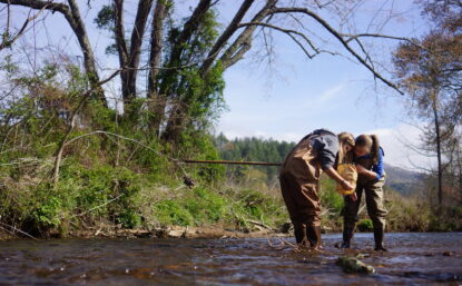 Youth in stream wearing waders holding net