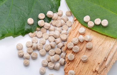 biopolymer pellets