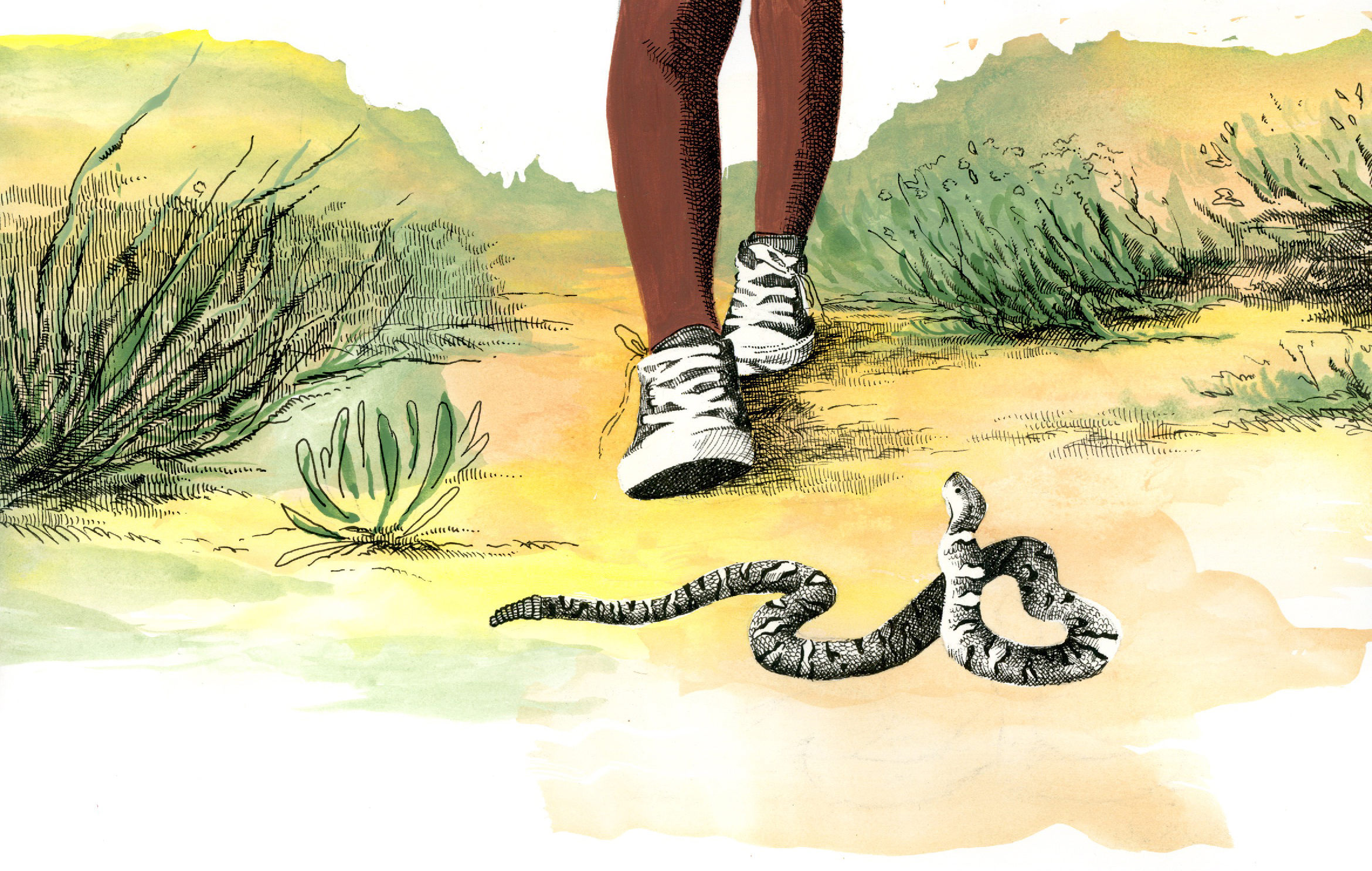 Color illustration of a child's legs walking with a snake in its path