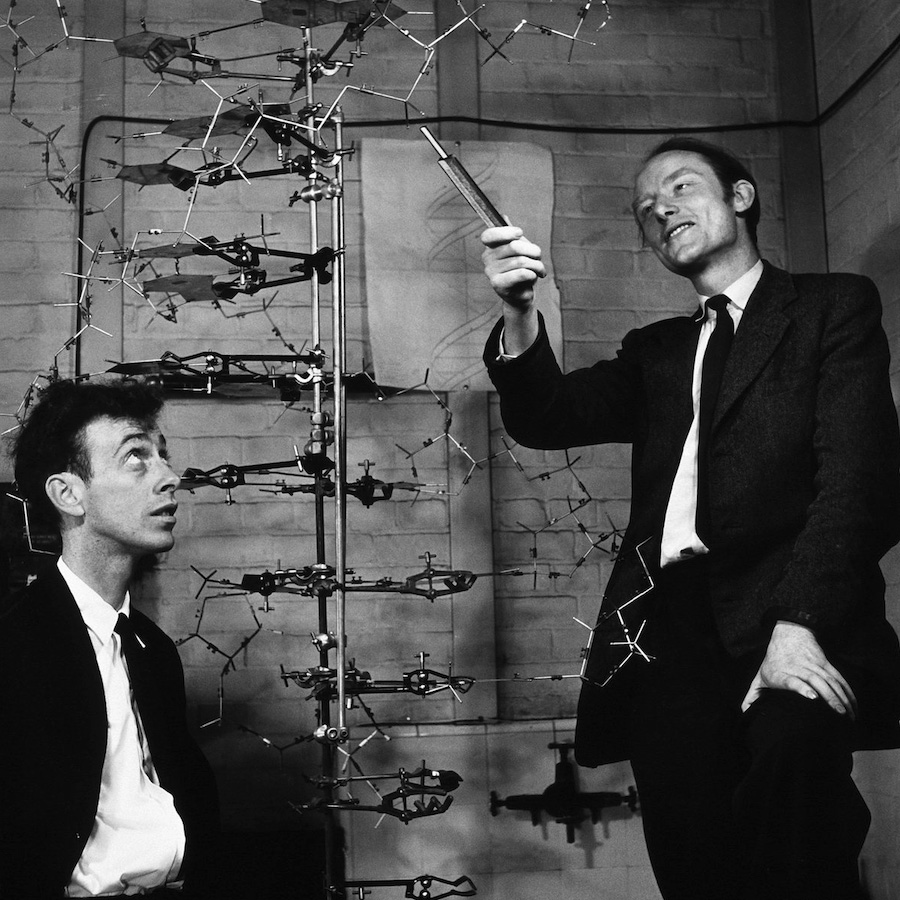 James Watson and Francis Crick